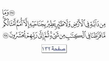 القرآن الكريم سورة الأنعام ٦ كاملة القارئ معتز آقائي