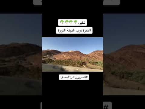 نخيل الفقرة غرب المدينة المنورة صوت لعب بدواني