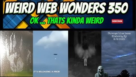 weird web wonders 350
