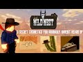 Cosmetic Guide - The Wild West