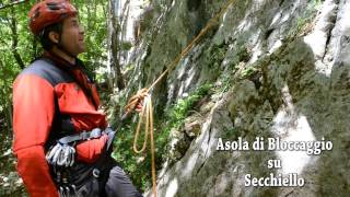 Asola Di Bloccaggio Su Secchiello