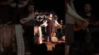 Solo Garip Bir Kuştu Gönlüm