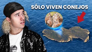 Sobreviví En Una Isla Dominada Por Miles De Conejos