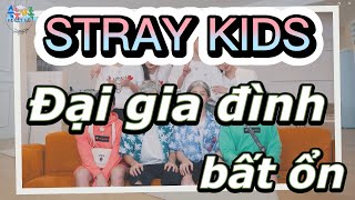 [SKZ moments #2] Đại gia đình nhà Trẻ Lạc nhiều muối=)))