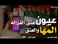 شيله عيون المها والعنق عنق الغزال شيله عيون المها والعنق عنق الغزال