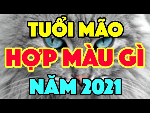 Tuổi Mão 1987 Hợp Màu Gì - Tuổi Mão Hợp Màu Gì 2021 Mua Xe Hợp Màu Gì I Tử Vi 24H