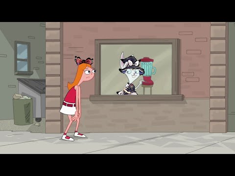 Marty the Rabbit