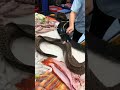 wow 😮 fish cutting video watch the end viral video
