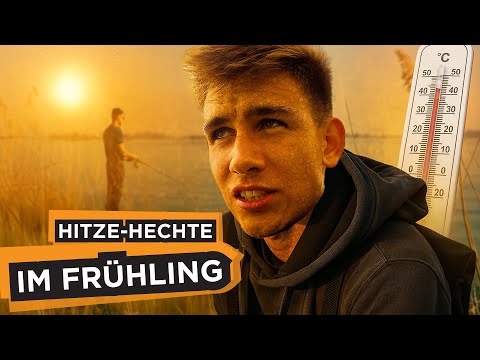 Big pike in the Netherlands? Pike fishing just before the closed season | Harz Fishing