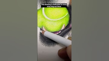 Your beauty never ever scared me! Colour pencil puppy drawing #shorts #recommended #fyp #trending