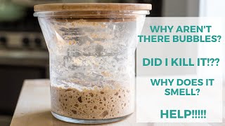 Troubleshooting Your New Sourdough Starter