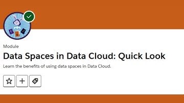 Data Spaces in Data Cloud Quick Look | Salesforce Trailhead