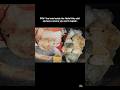 The Hello Kitty Murder Case That Shook Hong Kong. #shorts