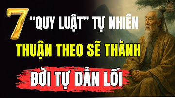 Thuận Theo 7 Quy Luật Tự Nhiên – Đời Sẽ Tự Dẫn Bạn Đến Thành Công Và Hạnh Phúc | Tinh Hoa Trí Lạc