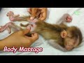 Precious Haya Get Gentle Body Massages By Mum | Haya Get Comfy Nap | Monkey Benjo