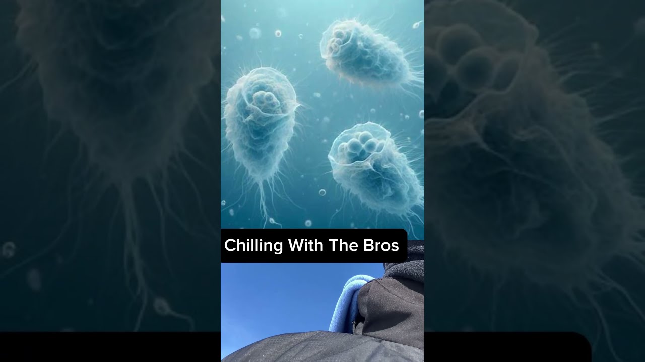 POV 3 5 Billion Years Ago