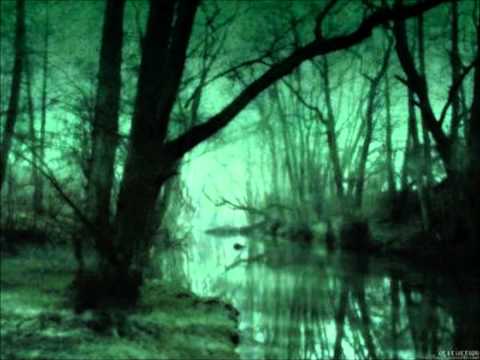 Cradh - Swamp