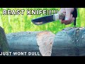 Most crazy knife ever  dulo leuku laminated k390