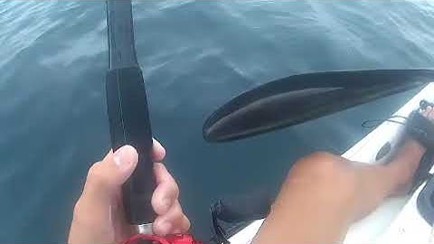 How to Catch Bait with a Sabiki Rig | Easy & Effective Fishing Tips