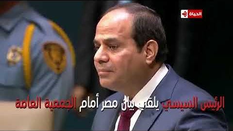 الرئيس السيسي يزور نيويورك للمرة الخامسة وسط استقبال حاشد من الجالية المصرية بهتافات: "تحيا مصر"