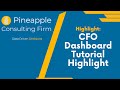 CFO Dashboard Excel Example Tutorial - Highlights &amp; Overview
