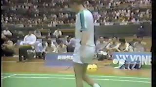 1987 World Badminton Championships