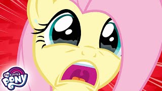 : My Little Pony:        | MLP FIM -