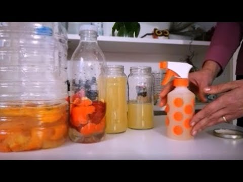 Detergente casero con citricos