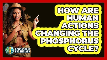 How Are Human Actions Changing The Phosphorus Cycle? - Ecosystem Essentials