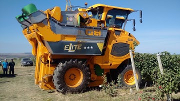 TOP 5 MOST POWERFUL GRAPE HARVESTERS: HARVESTING TONS IN JUST ONE HOUR | DALI - AMAZING CENTURY