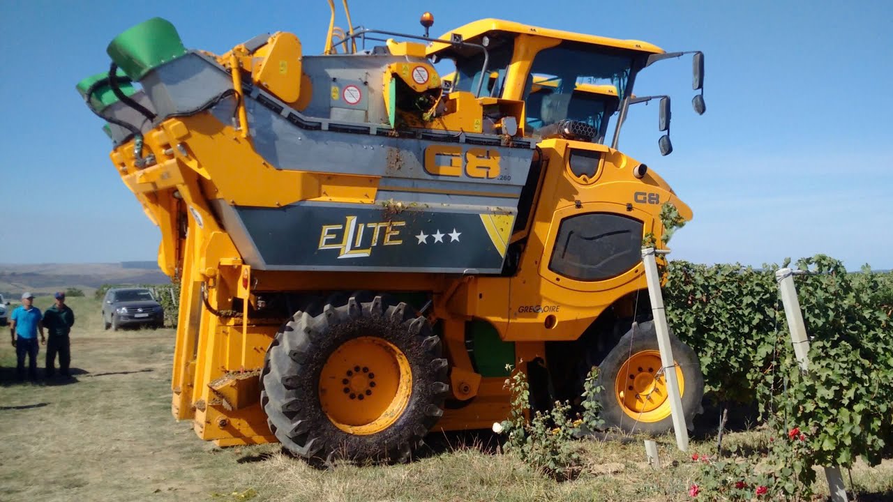 TOP 5 MOST POWERFUL GRAPE HARVESTERS: HARVESTING TONS IN JUST ONE HOUR | DALI - AMAZING CENTURY