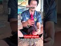 Chao Ronie Jr. - Keturunan Unggul dari Kowsem Go Farm 🇹🇭