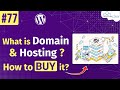 What is Domain & Hosting? | How to Buy a Domain & Hosting! | Learn WordPress in Hindi #77