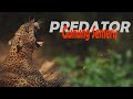 Ada Apa Dengan PREDATOR Gunung Semeru ?? | penelusuran