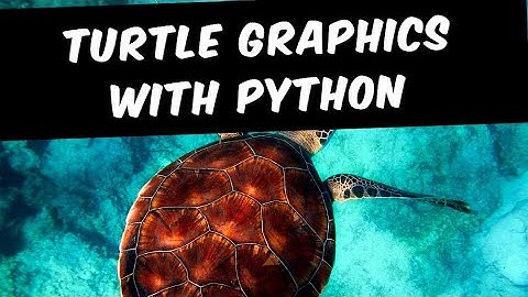 Turtle Graphics with Python | Class 12 | Programming Technology #python
