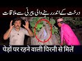 Tree men rehny wali peerni se mulaqat 195 horror scary 13 sep 2023