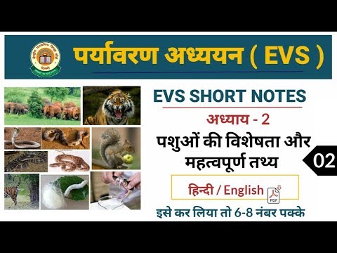 CTET - 2020 SPECIAL |  पशुओं की विशेषता और महत्वपूर्ण तथ्य | संपूर्ण  NCERT का निचोड़