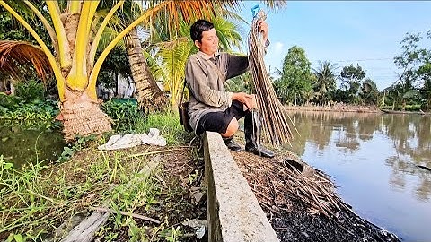 Cắm Câu Cá lóc về đêm gần nhà dính toàn cá bừ