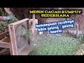 Mesin Cacah Rumput Sederhana