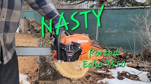 HotWoods Ported Echo 7310!