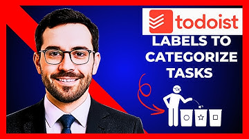How To Use Labels To Categorize Tasks In TODOLIST (Complete 2025 Guide)