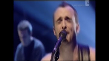 Travis :: Flowers In The Windows :: Jools Holland