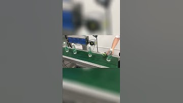 CO2 Online Flying CO2 Laser Marking Machine for plastic bottle batch marking logo production date
