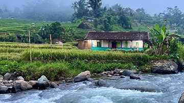 Hidup di desa, Menginap Dirumah Pinggir Sungai, Ini Yang Akan Dirasakan