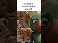 जब जंगल के जानवरों ने तोते से मदद मांगी 🥺🔥#viral #shorts #cartoon