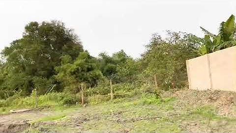 lô đất đường xã Nhuận Đức, huyện Củ Chi, 3527m2, quy hoạch khu dân cư, 9 tỷ, 0328790468