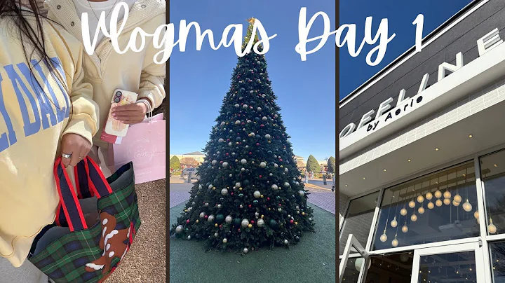Vlogmas Day 1 (Shopping, Decorating, and Getting in the Christmas Spirit!!)