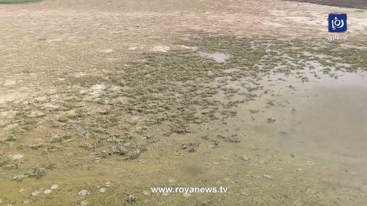 صحراء قاحلة.. سد الموجب بلا أي نقطة مياه