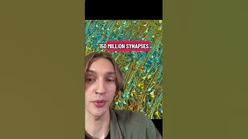 Het menselijk brein is ongelooflijk