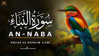 Surah An Naba Beautiful Recitation By Sheikh As Shuraim Ajami| Al Masad Media